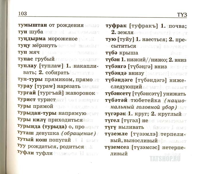 Татарский словарь с переводом