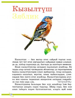 Кошлар. Птицы: путешествие в природу (на татарском языке) Image 3