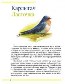 Кошлар. Птицы: путешествие в природу (на татарском языке) Image 1