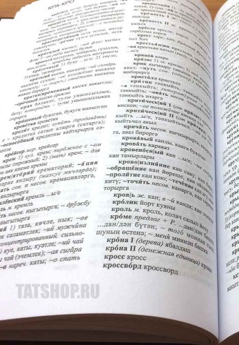 Русско-Татарский словарь. Русча-Татарча сүзлек (222 стр) Image 2